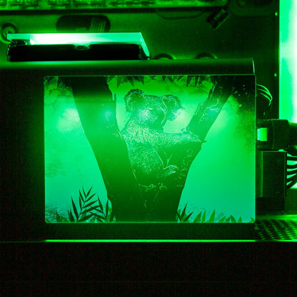Soul of the Koala RGB SSD Cover Horizontal - Donnie Art - V1Tech